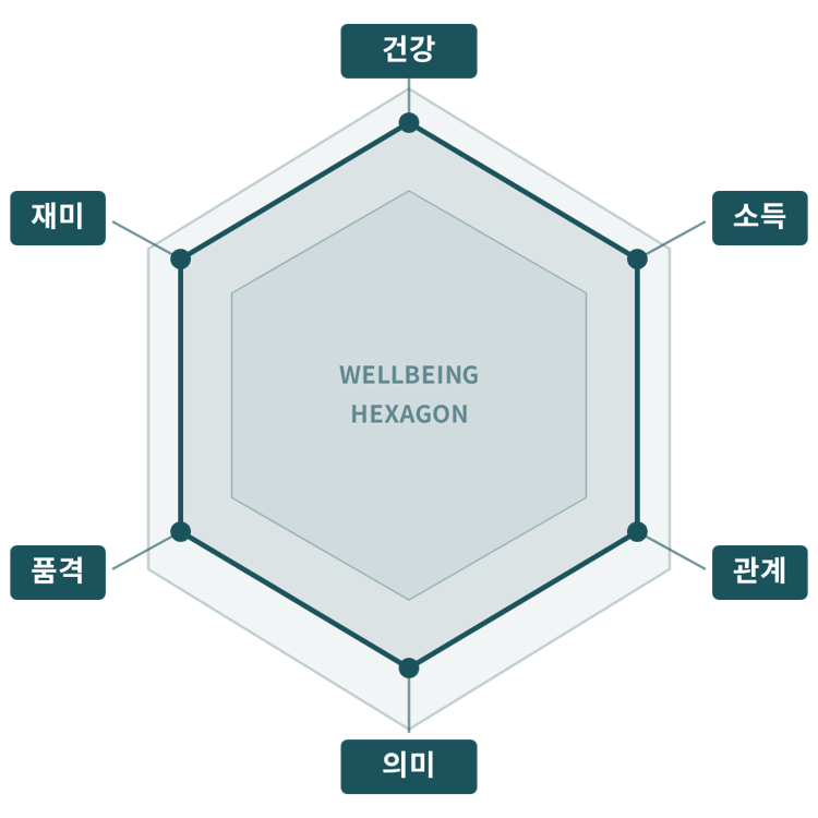 건강 · 소득 · 관계 · 의미 · 품격 · 재미 여섯 축으로 이루어진 인생육각형
